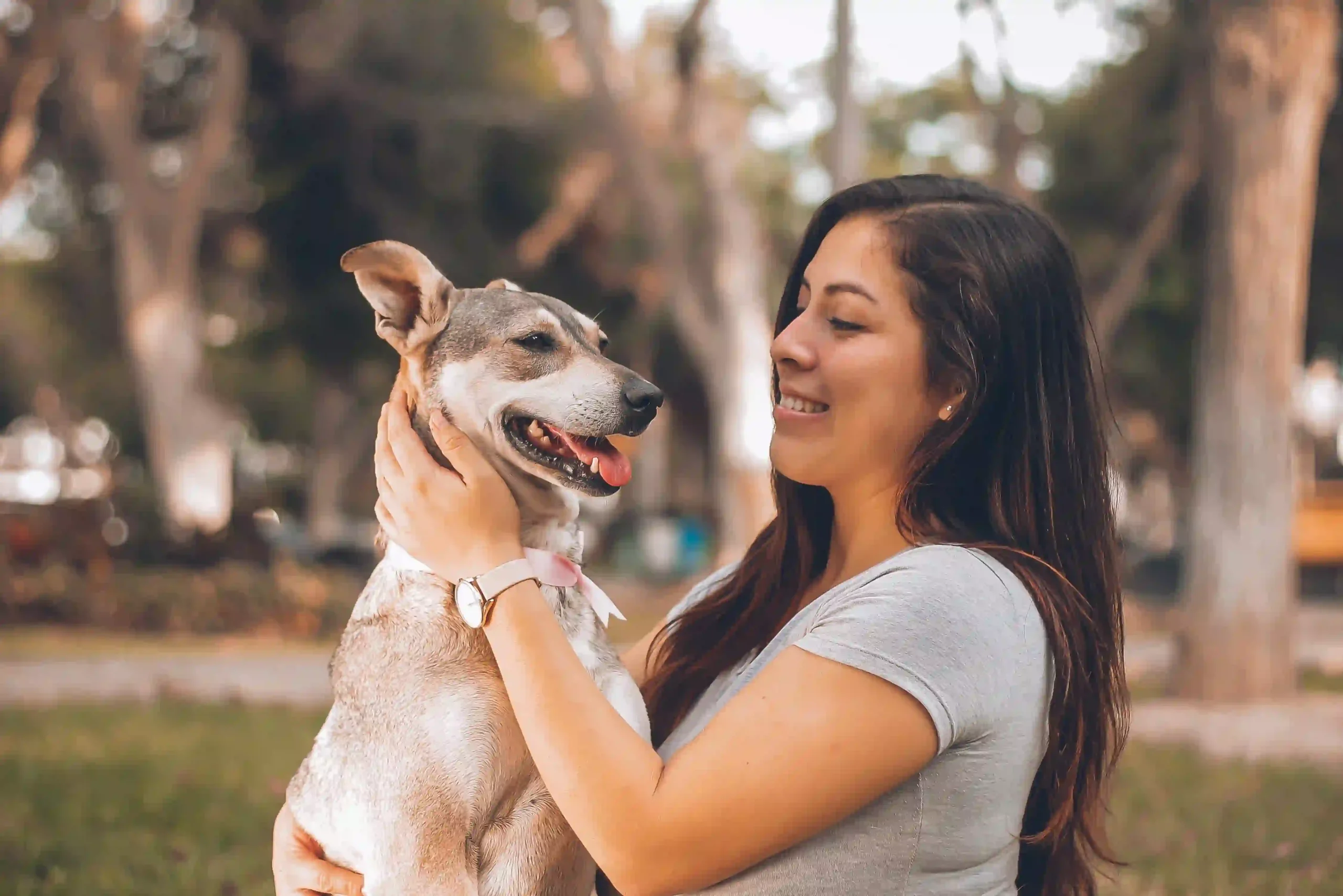 Helping Students Understand the Benefits of Sustainable Pet Memorialization